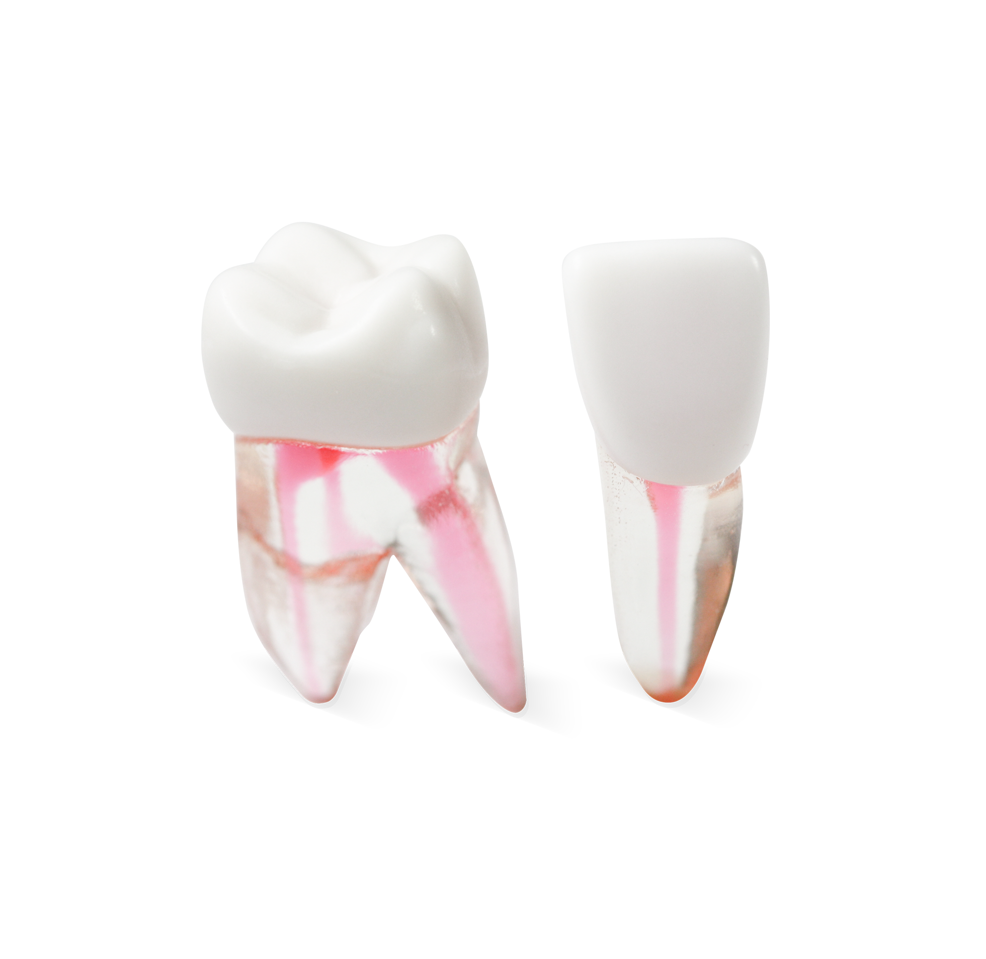 Acadental # AE_401_09