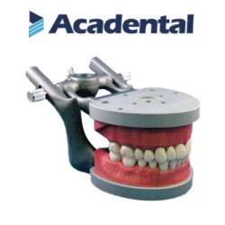 Acadental # MP_AT28-31