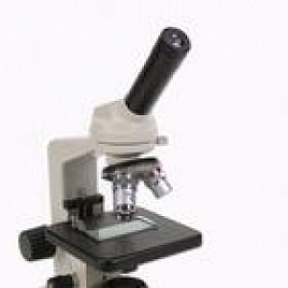 American 3B # W58751