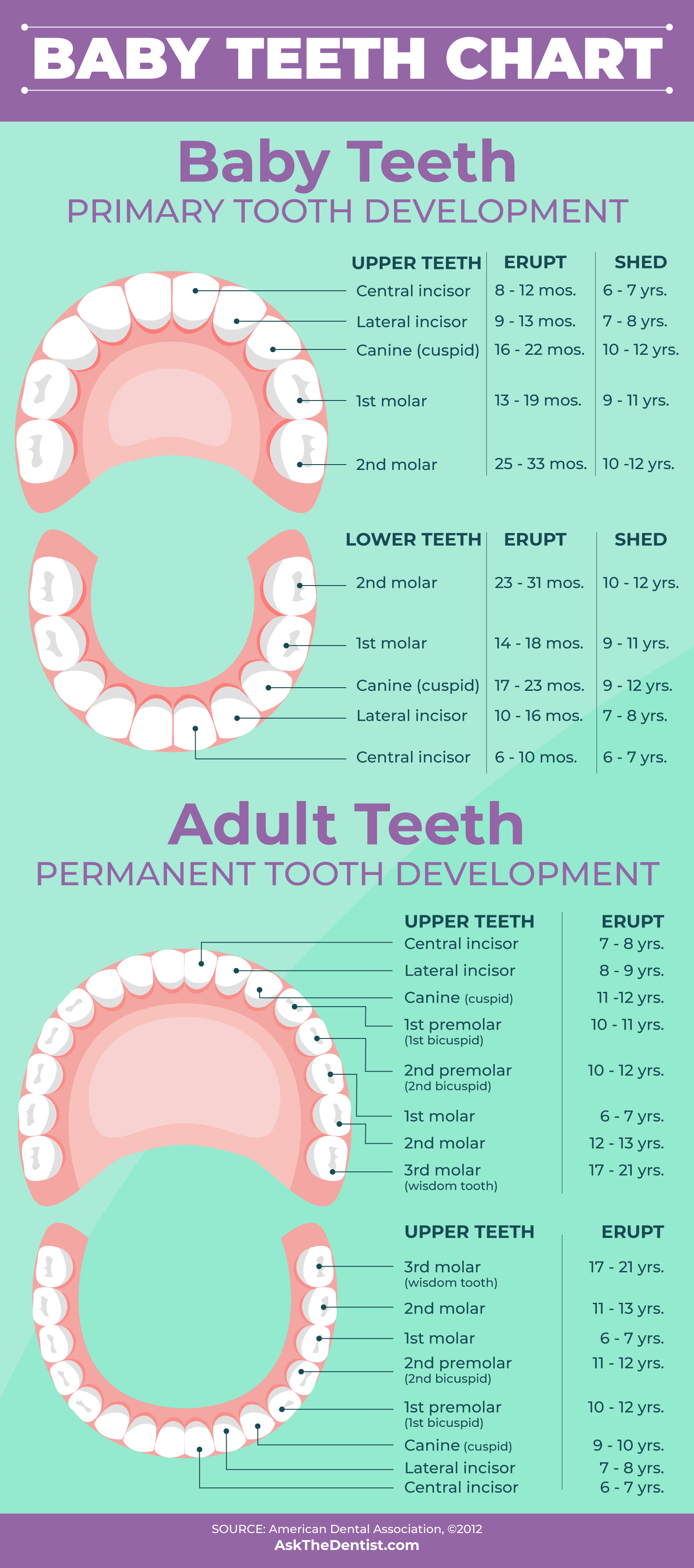 American Dental Assoc # W216