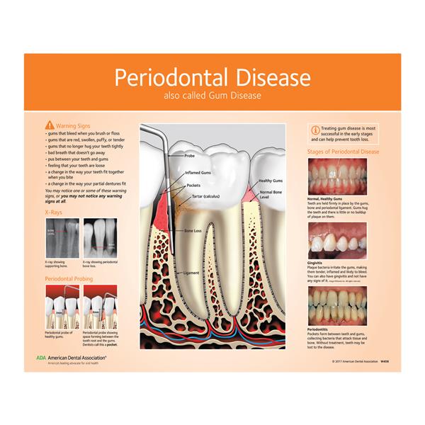 American Dental Assoc # W406