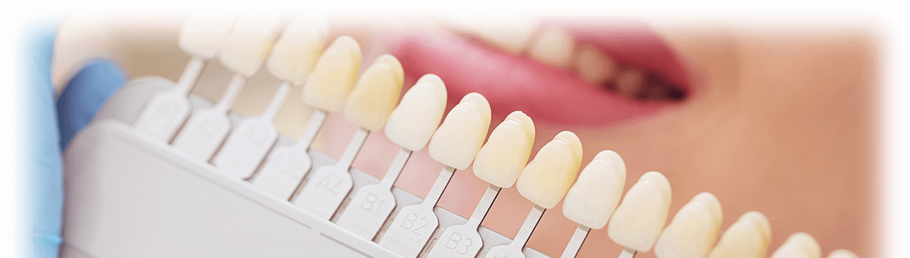 American Dental Supply # 582301