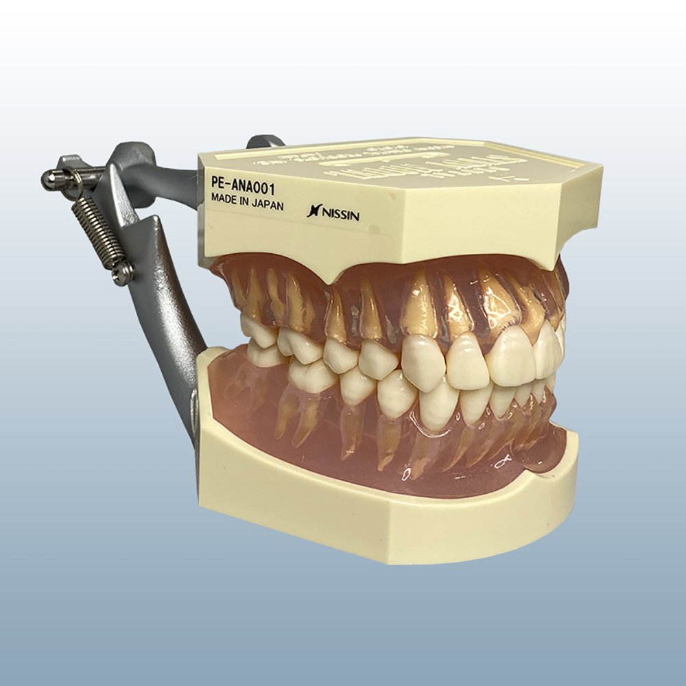 American Dental Supply # OA-119