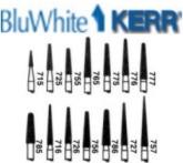 Beavers Dental # FG713SF-5