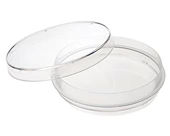 Celltreat Scientific # 229623