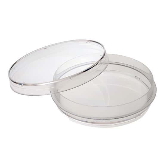 Celltreat Scientific # 229653