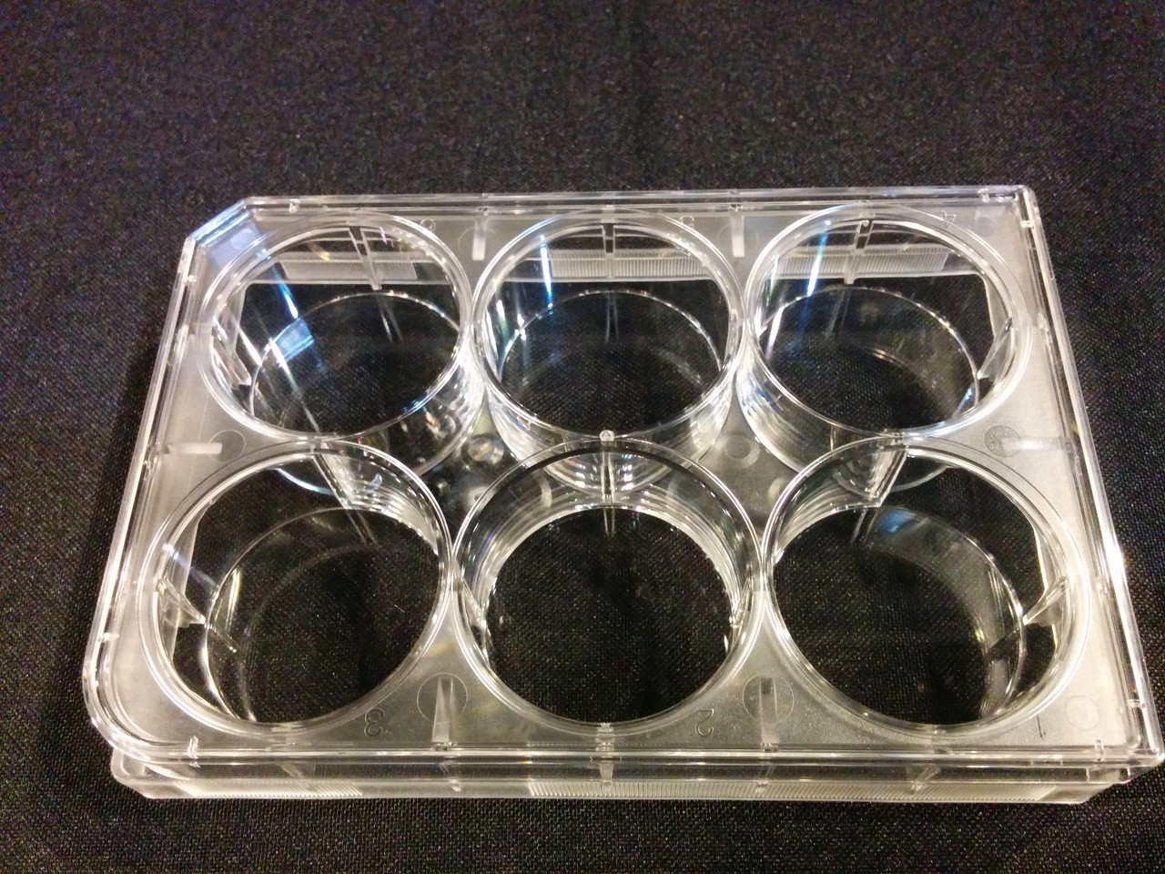 Celltreat Scientific # 306033030