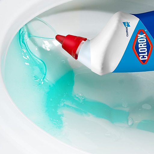 Clorox Sales Company # 31