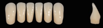 Dental Arte # L1D
