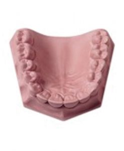 Dental Creations  # 410