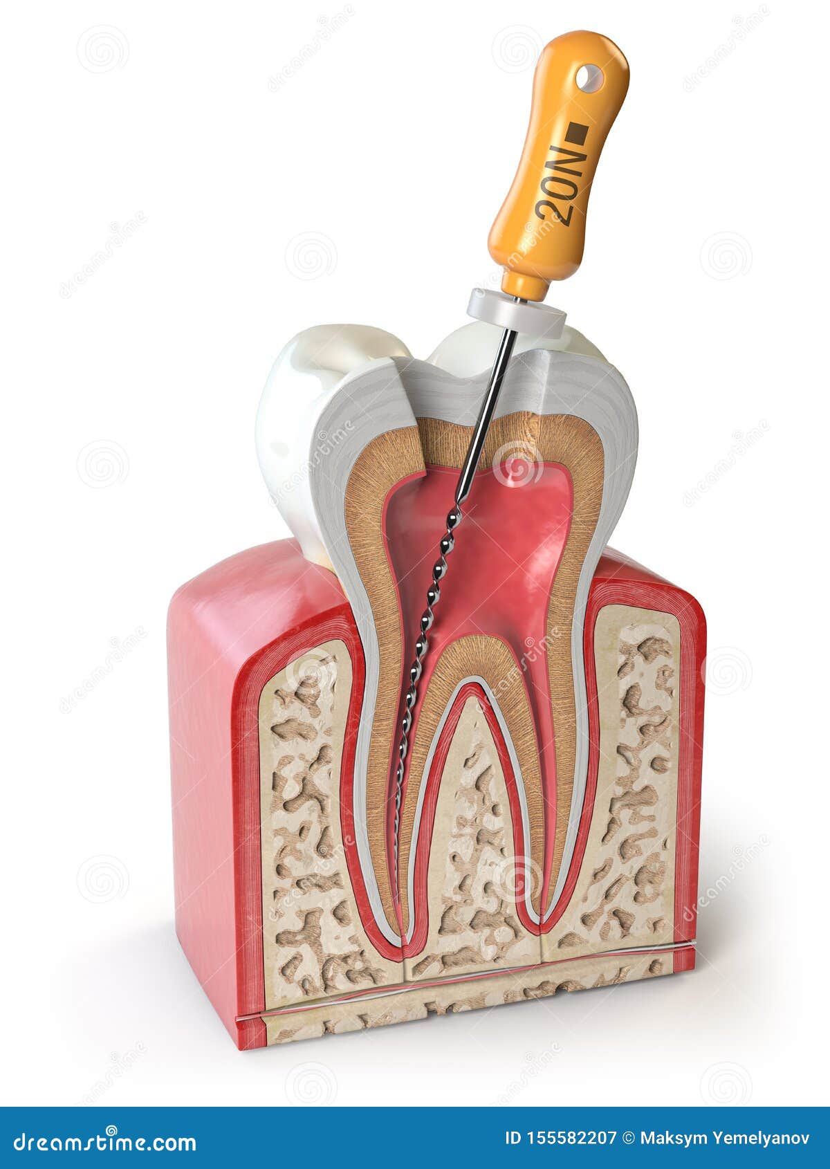 Dental Education Lab # TT3-001