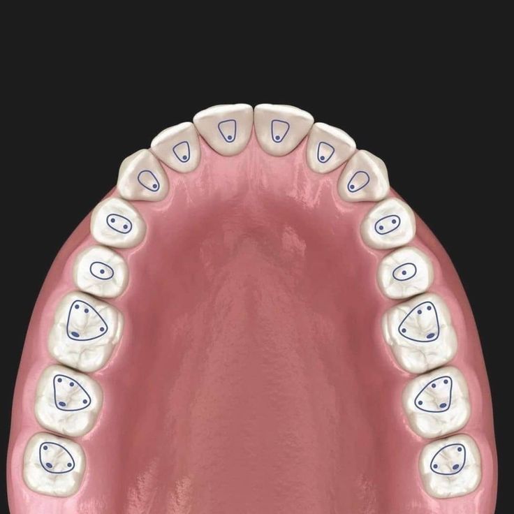 Dental Education Lab # TT31-003