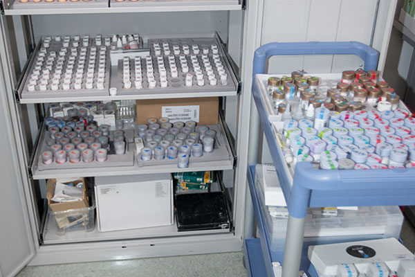 Dental Lab Services # E532