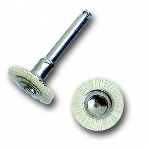 Dental Ventures Of Americ # CD/MINIBRUSH