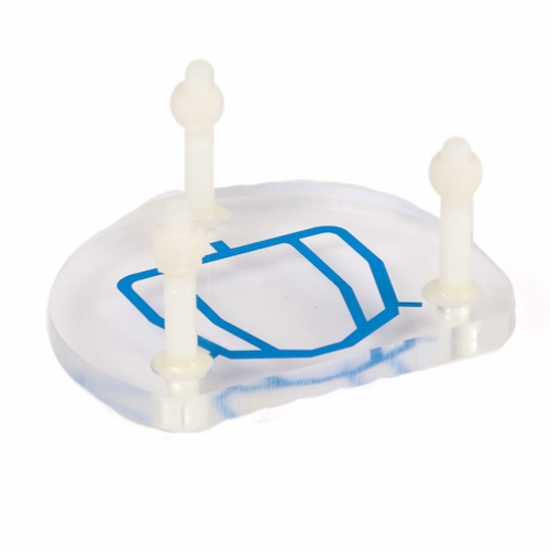 Dental Ventures Of Americ # MO/ALFITQRED