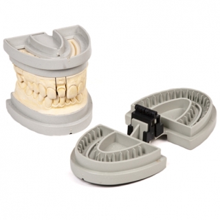 Dental Ventures Of Americ # UT/T100F