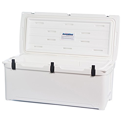 Engel, USA # ENG 123