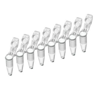 Eppendorf # 951010022