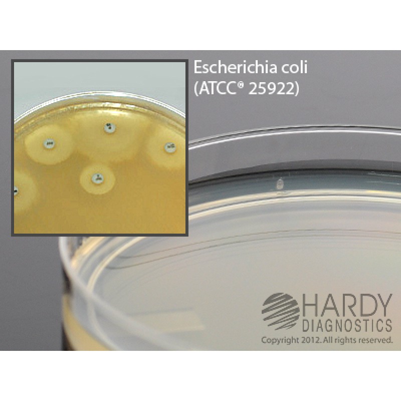 Hardy Diagnostics # G146