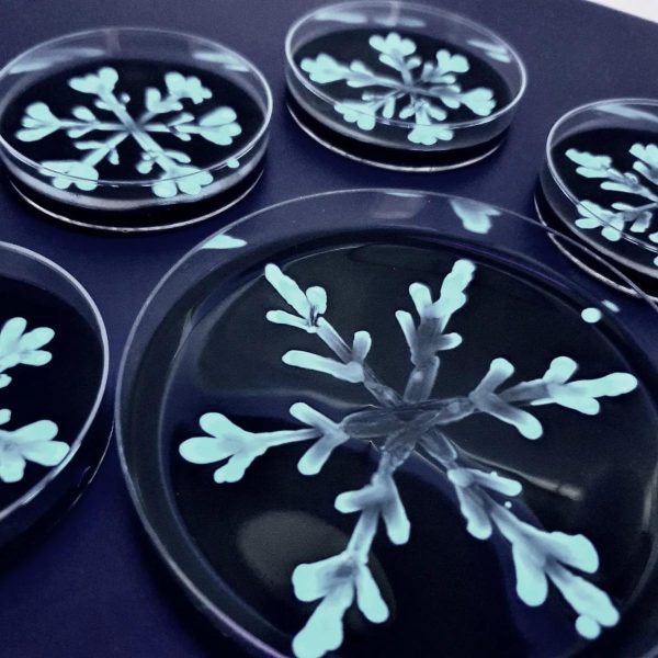 Hardy Diagnostics # G209