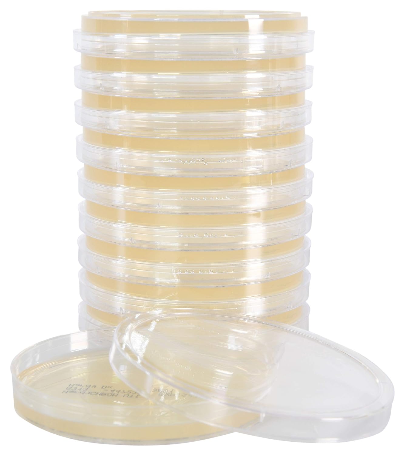 Hardy Diagnostics # G313