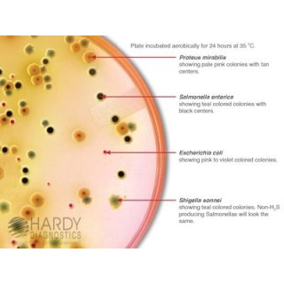 Hardy Diagnostics # G327