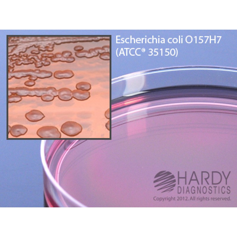 Hardy Diagnostics # G36