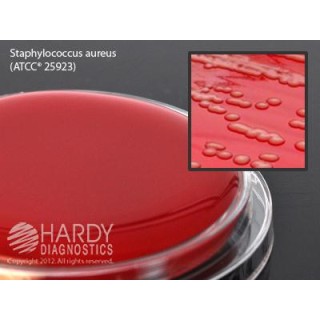 Hardy Diagnostics # G48