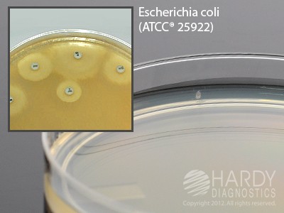 Hardy Diagnostics # H11