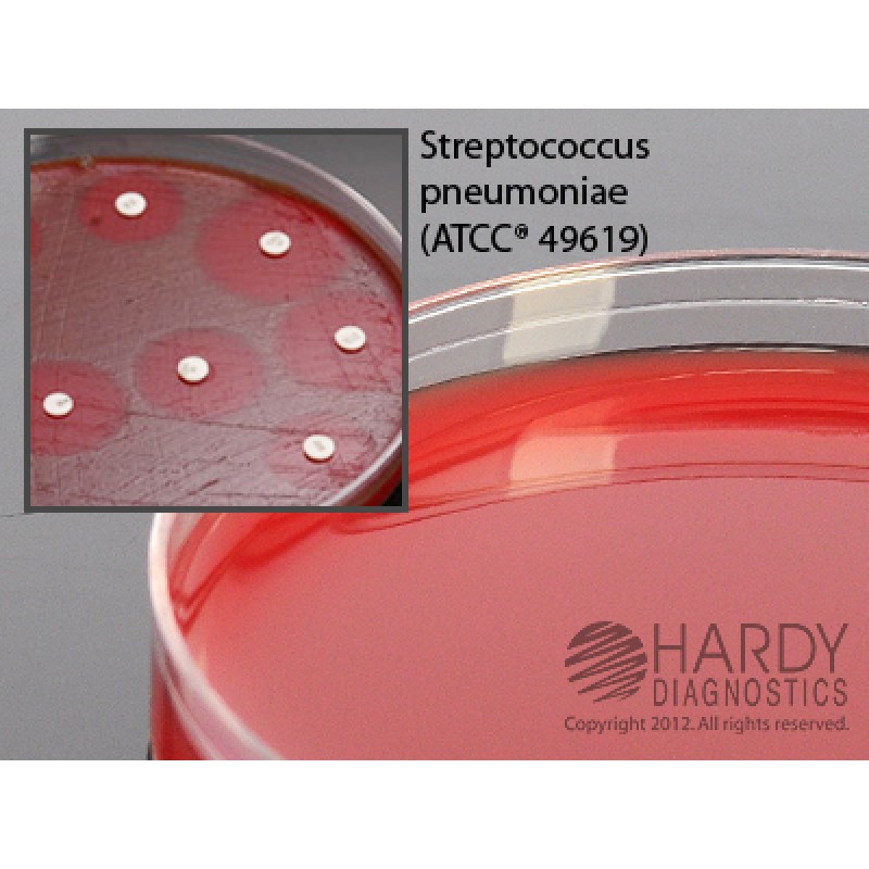 Hardy Diagnostics # H21