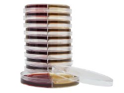 Hardy Diagnostics # J102