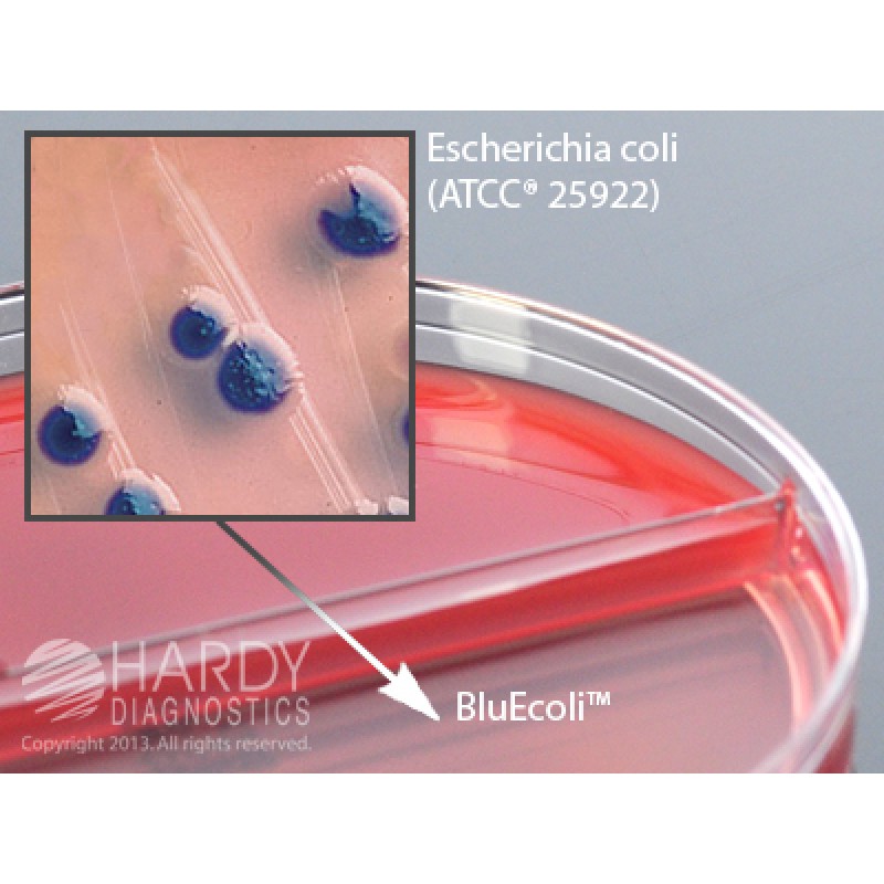 Hardy Diagnostics # J116
