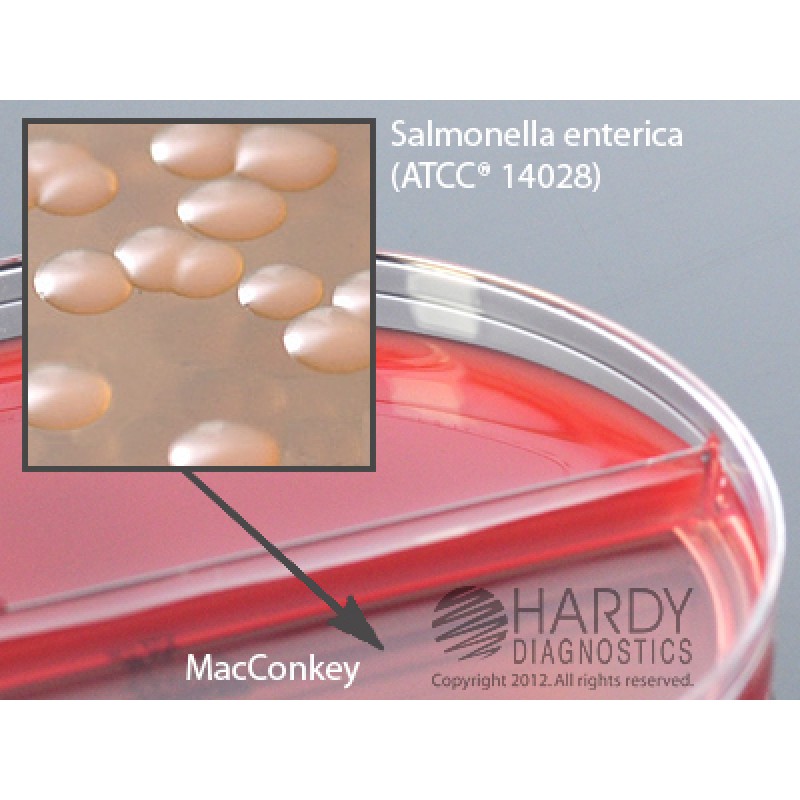 Hardy Diagnostics # J32BX