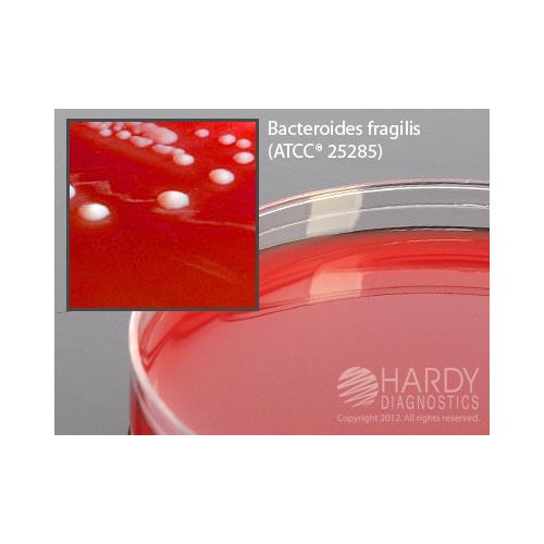 Hardy Diagnostics # J87