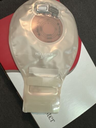 Hollister # 3795