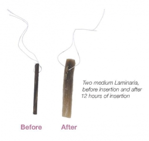 Medgyn Products # 21015