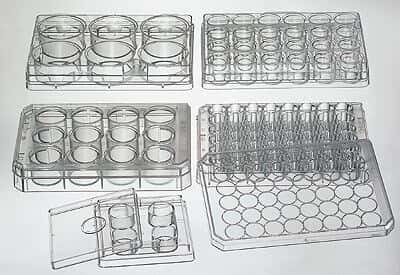 Nalge-Nunc International # 176740