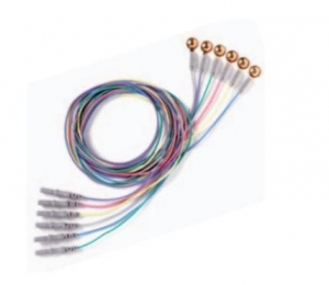 Natus Neurology # 019-414600