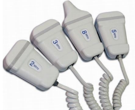 Natus Neurology # ED38