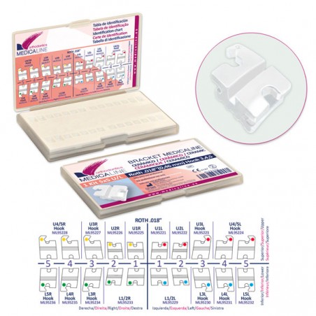 Ortho Organizers # 2887325