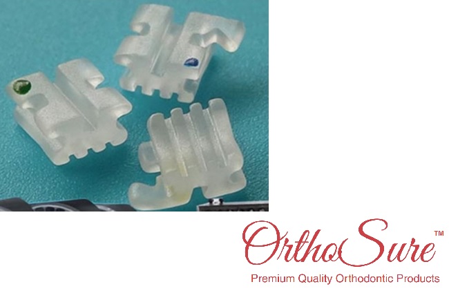 Ortho Organizers # 2887384