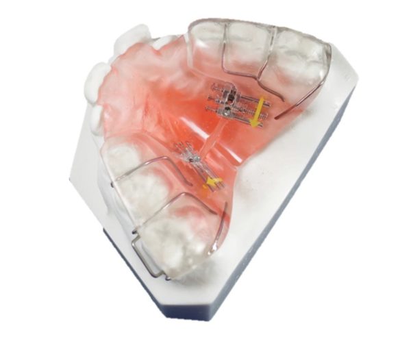 Ortho Organizers # 4109045