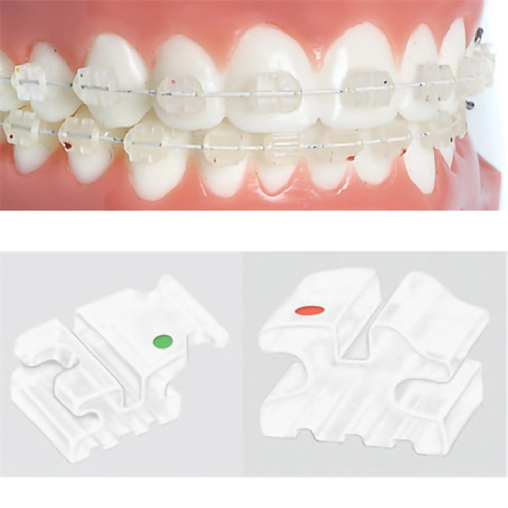 Ortho Organizers # 951-206