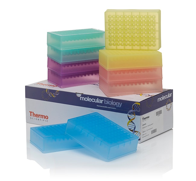 Thermo Fisher Scientific # PT261X1