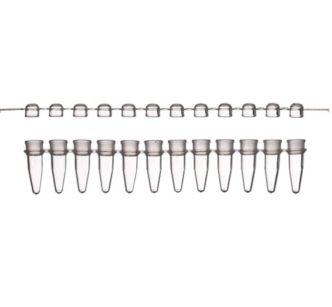 Thermo Fisher Scientific # TU1273X11