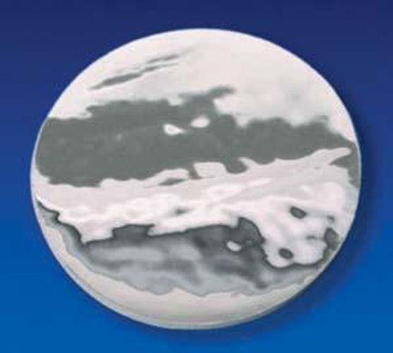 Vermont Medical # A10008