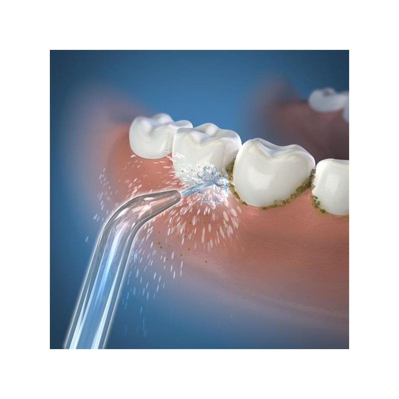 Water Pik # 20013223