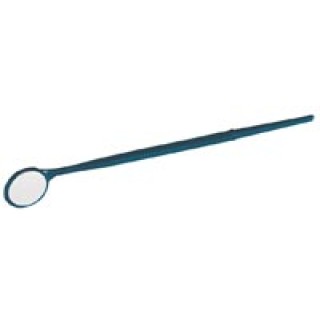 Young Dental # 700014